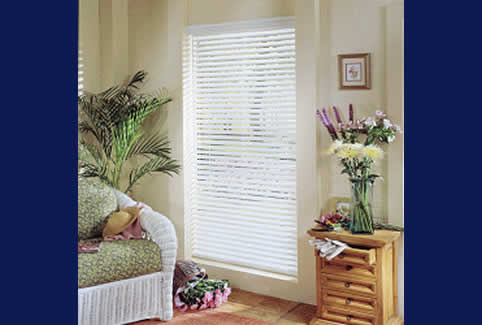 Specialty Profile Horizontal Blinds