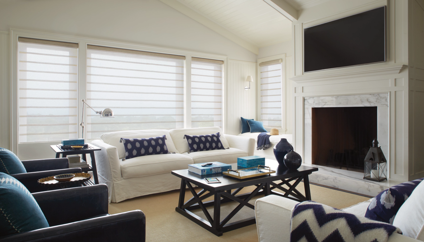 Hunter Douglas Vignette Duolite shades - Leela