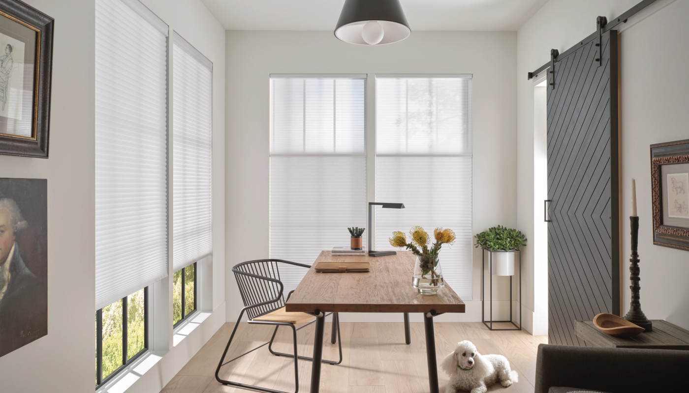 Hunter Douglas Duette Day Night - office shades