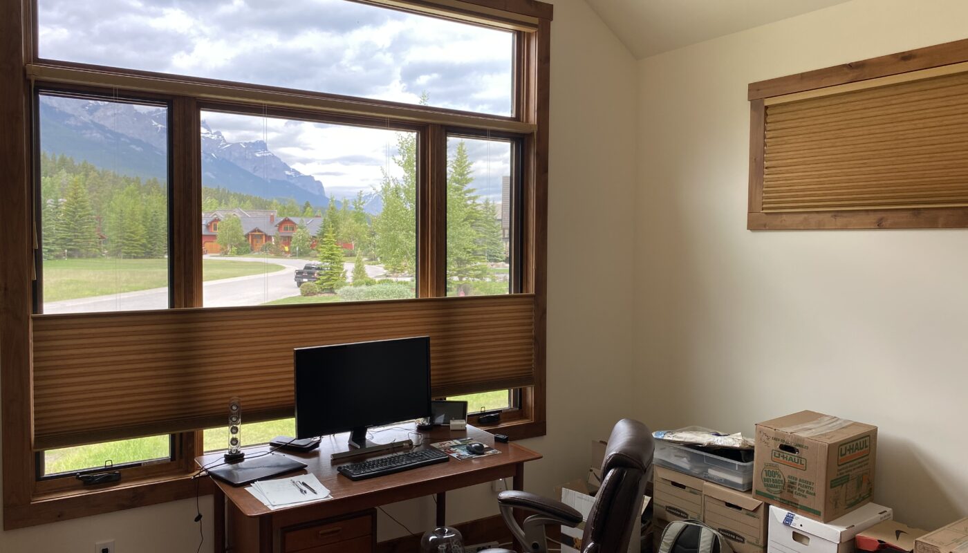 Hunter Douglas Honeycomb shades (top down bottom up)