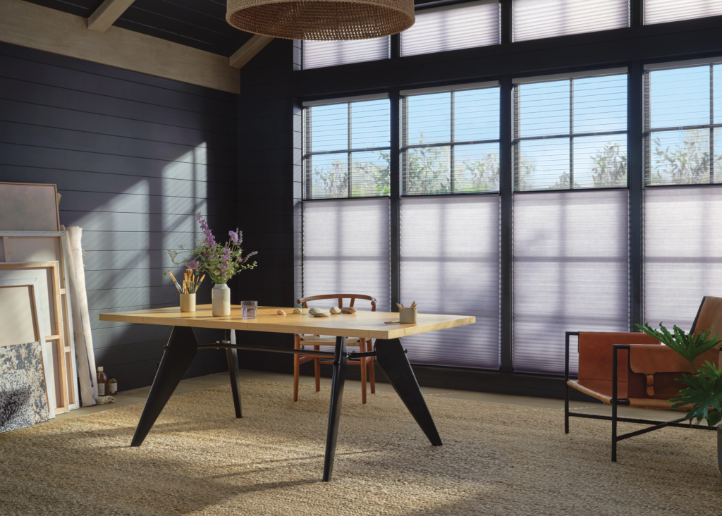 hHunter Douglas Duette Day / Night shades